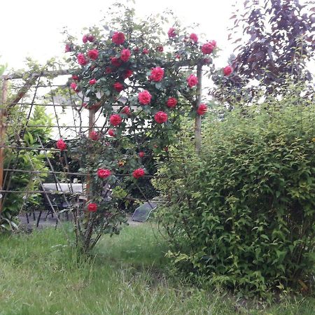 Appartement Gartenblick à Graal-Mueritz Extérieur photo